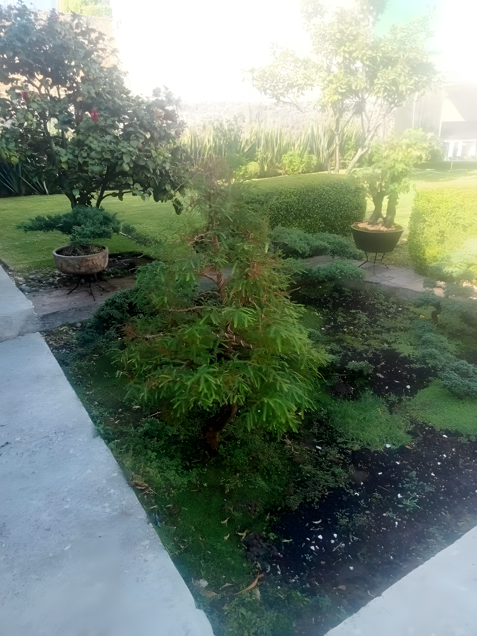 Jardín Residencial